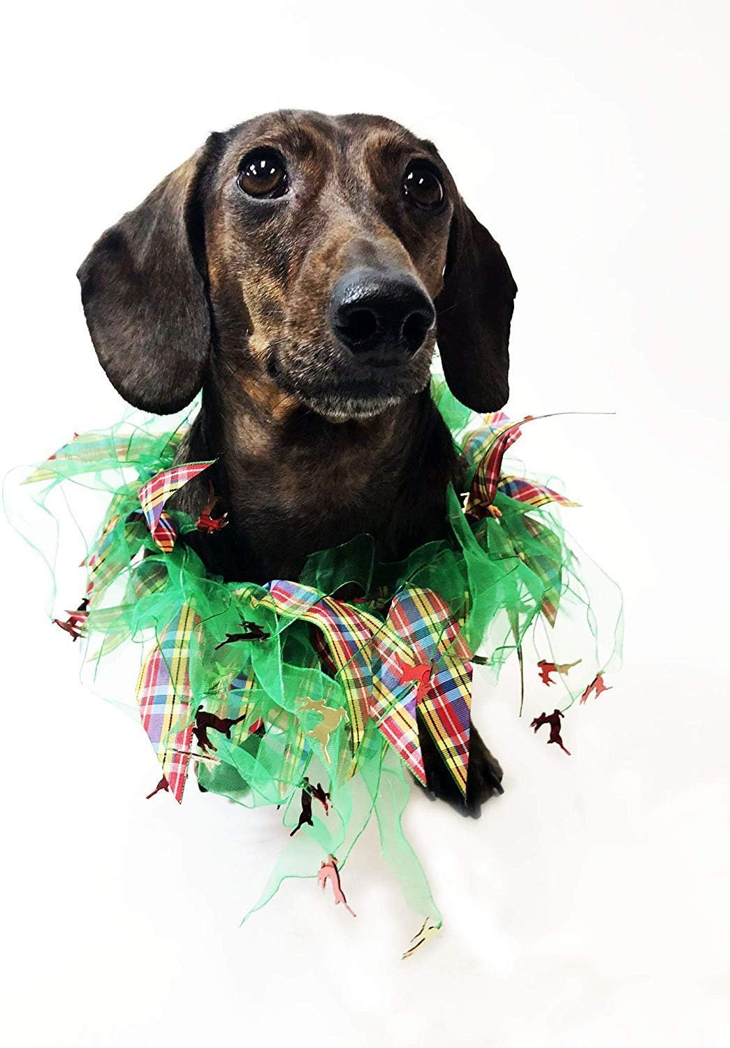 Midlee Plaid and Green Decorative Dog Collar