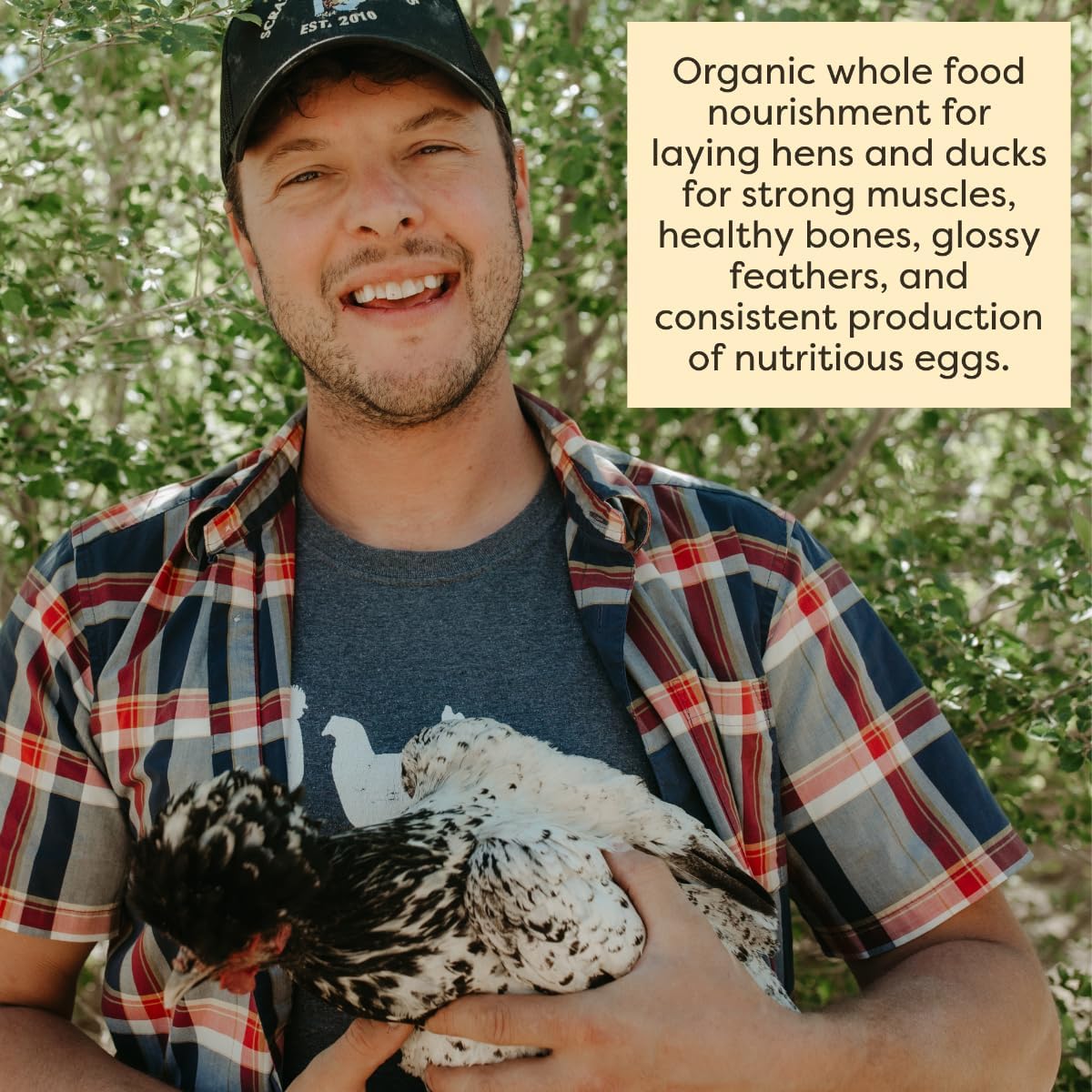 Scratch and Peck Naturally Free Organic Chicken & Duck 18% Layer Mash - 40-lbs