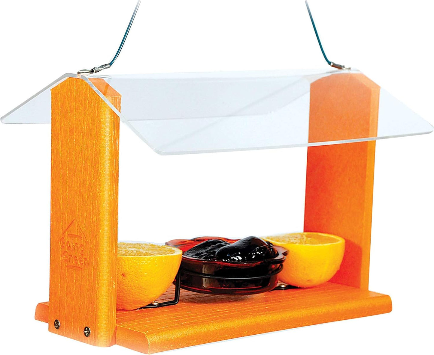 Woodlink Audubon Going Green Deluxe Green Oriole and Bluebird Feeder