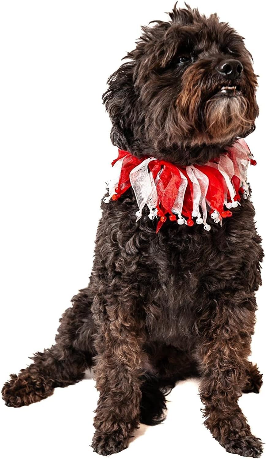 Midlee Candy Cane Christmas Decorative Dog Collar
