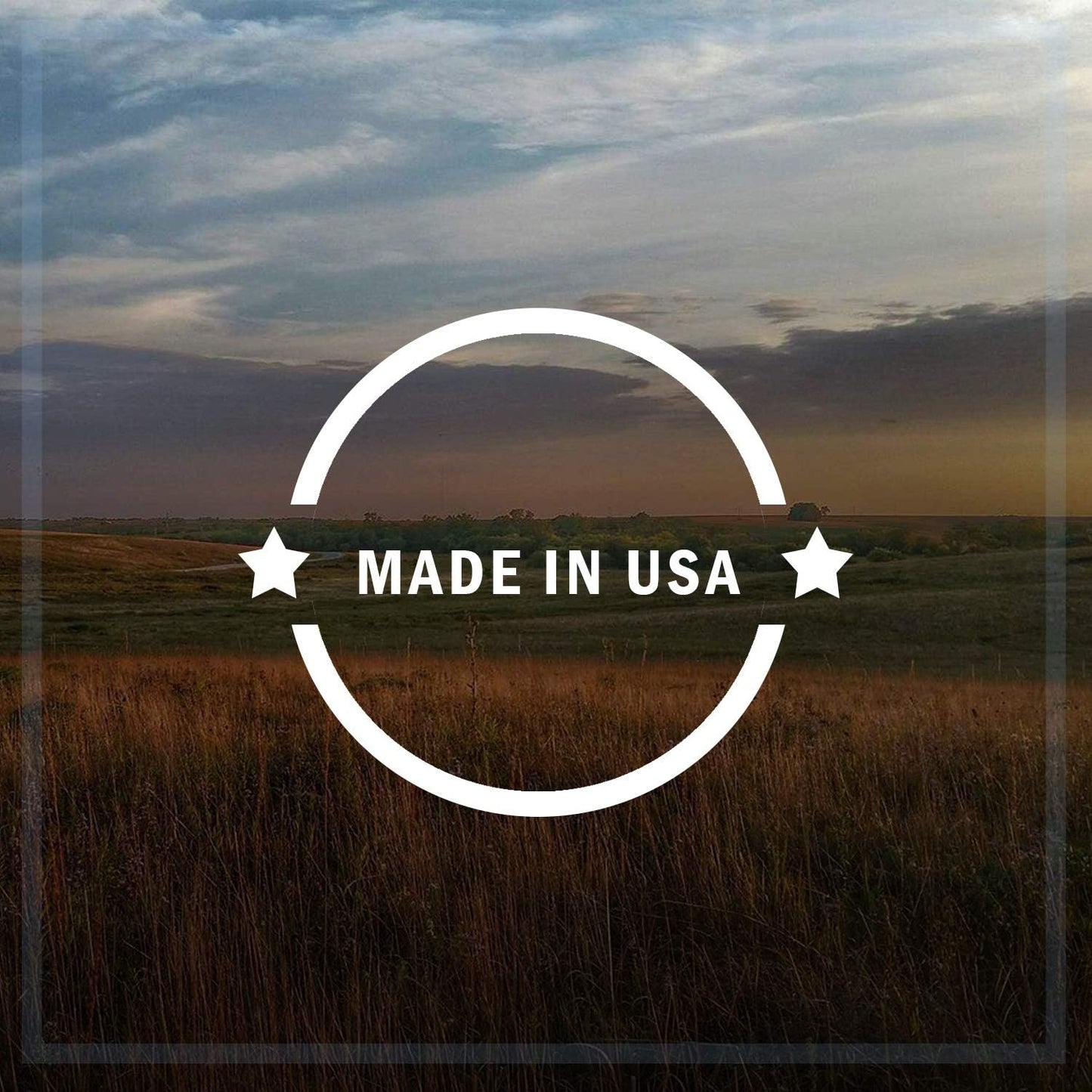 Pacific Bird & Supply Co Mealworm + Peanut Suet Cakes (Case of 12)