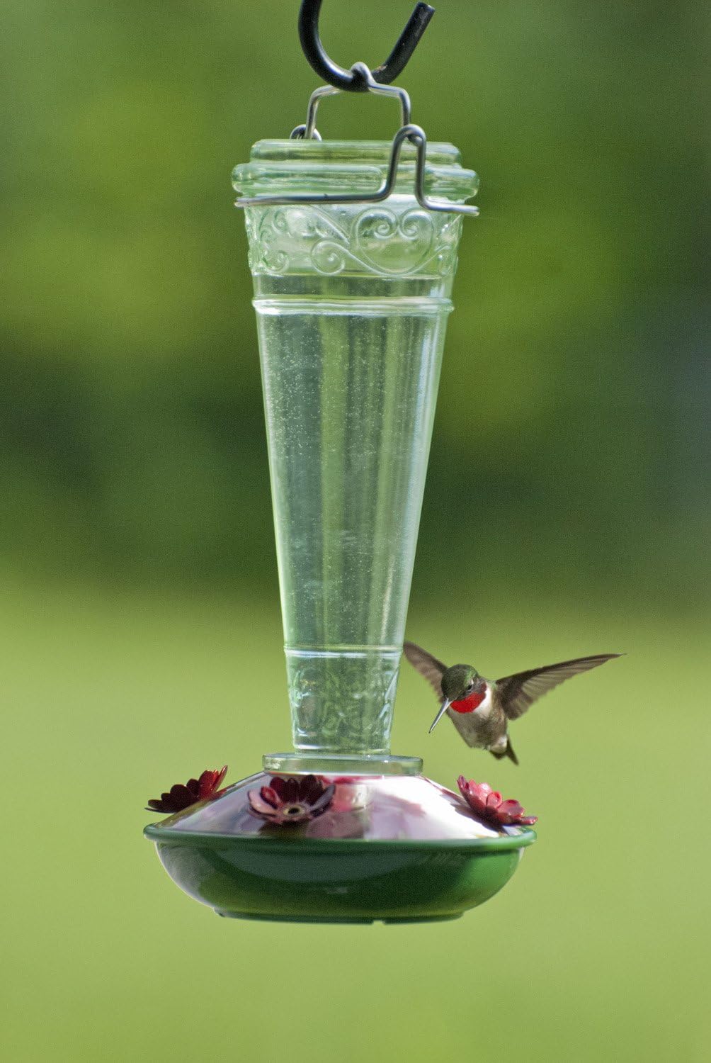 Audubon Green/Red Torchiere Decorative Glass Hummingbird Feeder - 8 Ounces