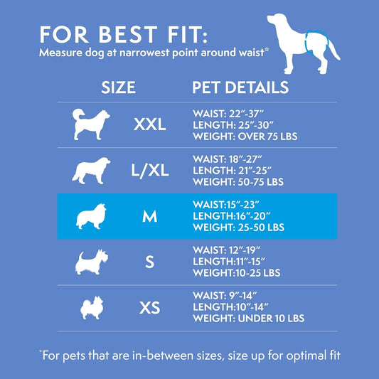 Simple Solution Disposable Dog Diapers for Female Dogs - Pack of 12 (Medium)