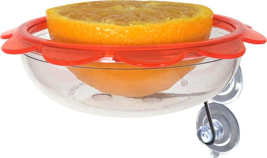 Droll Yankees Bos Marmalade Window Oriole Feeder 5 Clear/Orange, 5" (344578)