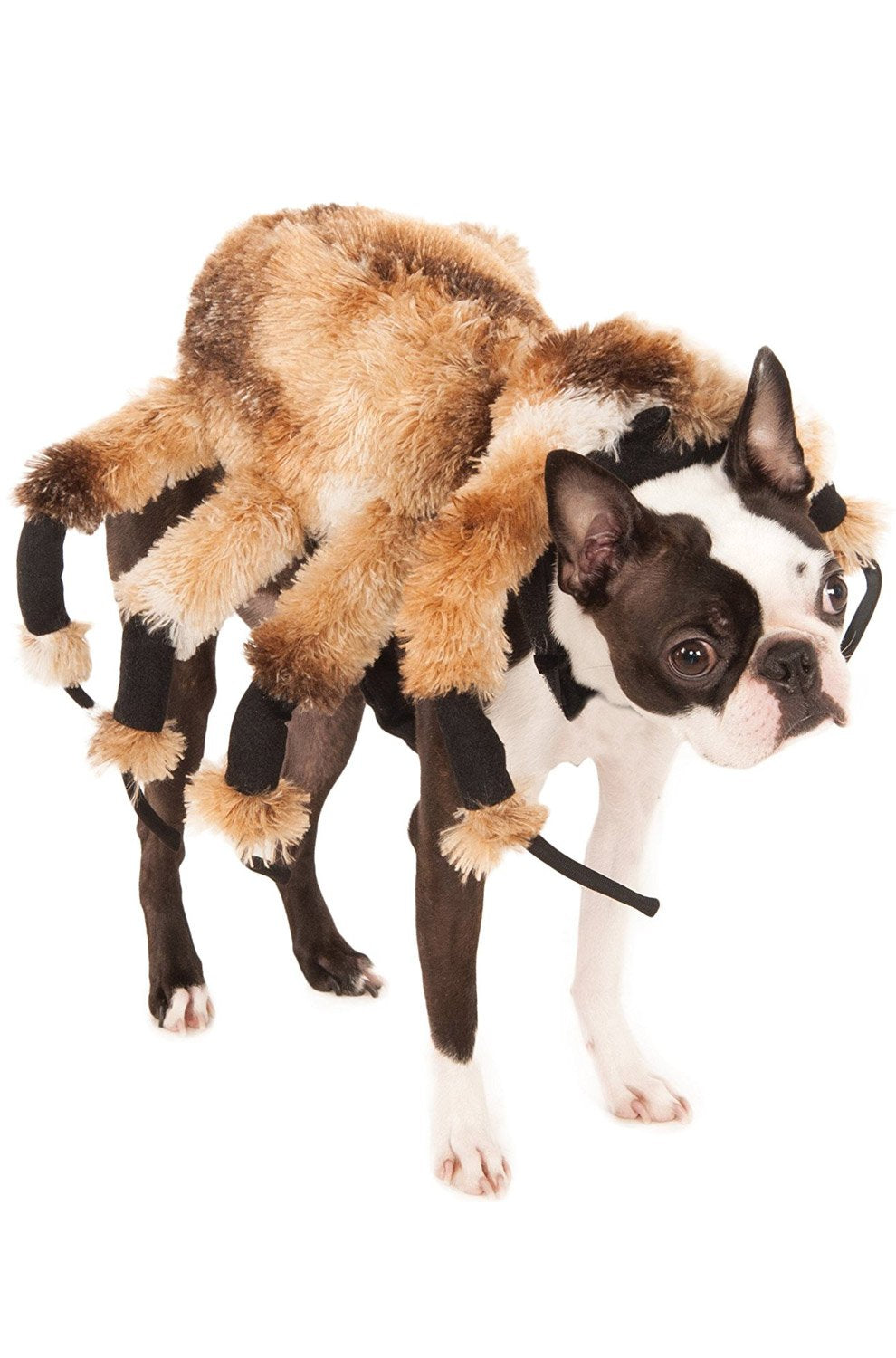 Rubie's Costume Co Creepy Spider Harness Pet Costume-X-Large