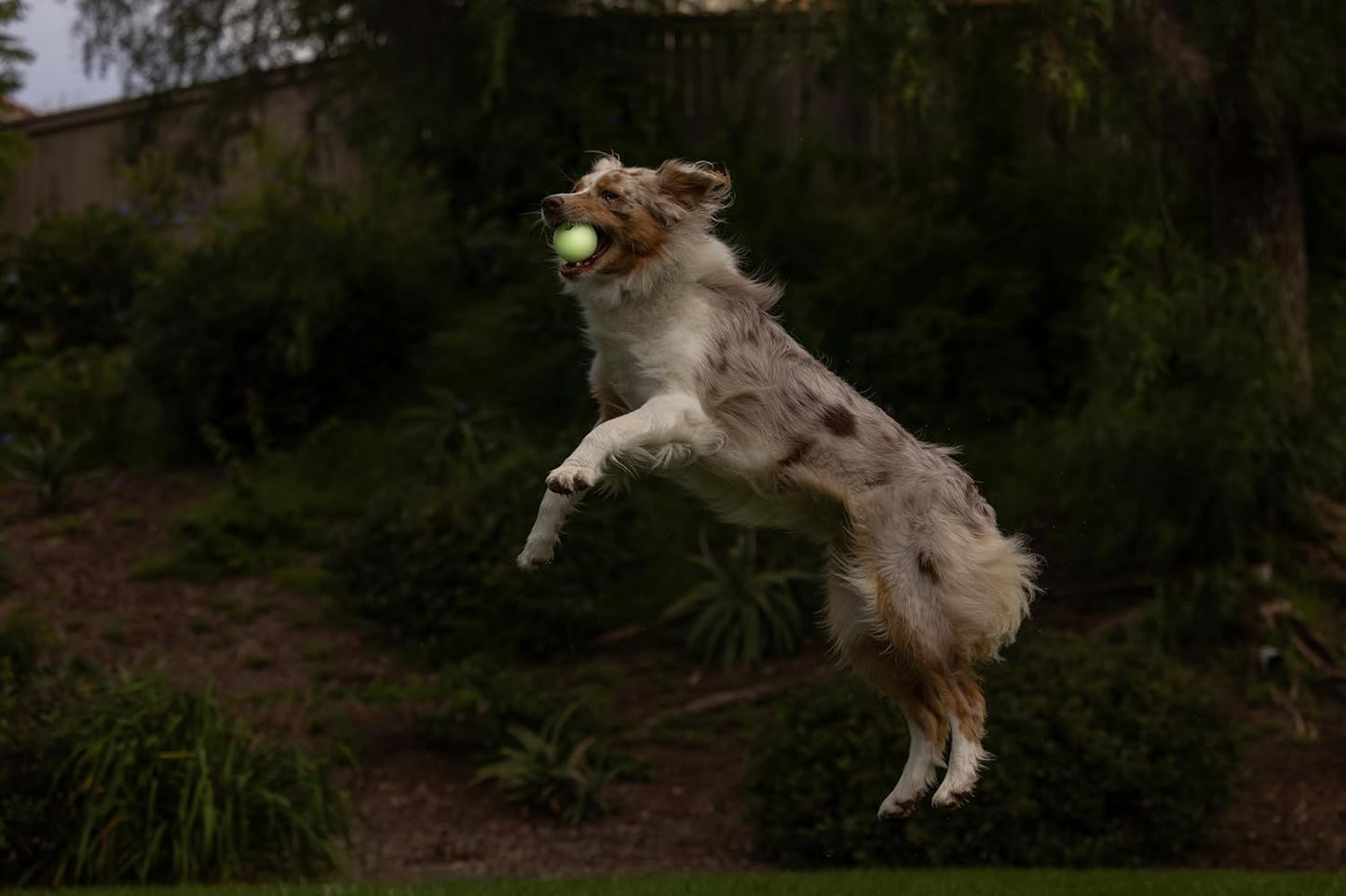 Chuckit Max Glow Ball Medium - 2.25" Diameter