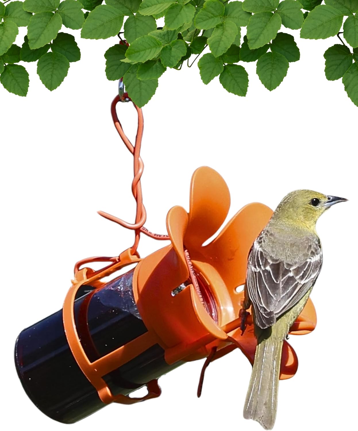 Songbird Essentials Orange Jelly Jam Fliteline Oriole Feeder - 6.5"