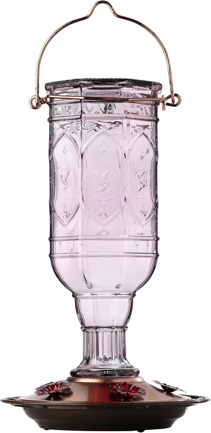 More Birds Purple Amethyst Jewel Glass Hummingbird Feeder - 20 Ounces