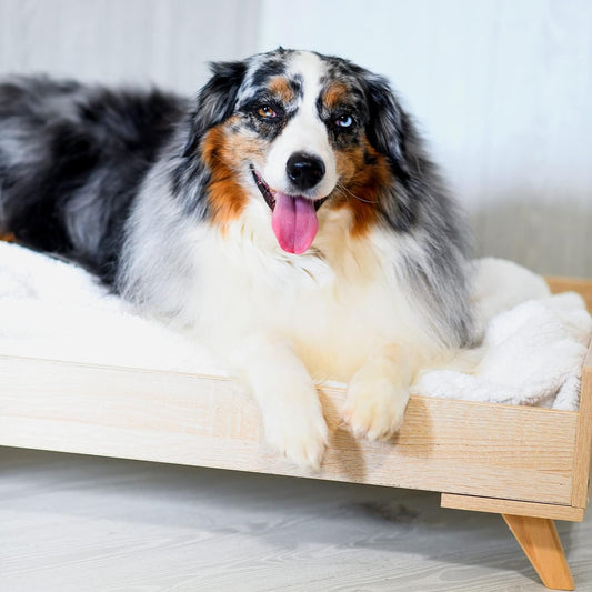 Midlee Raised Wooden Dog Bed Frame- Small