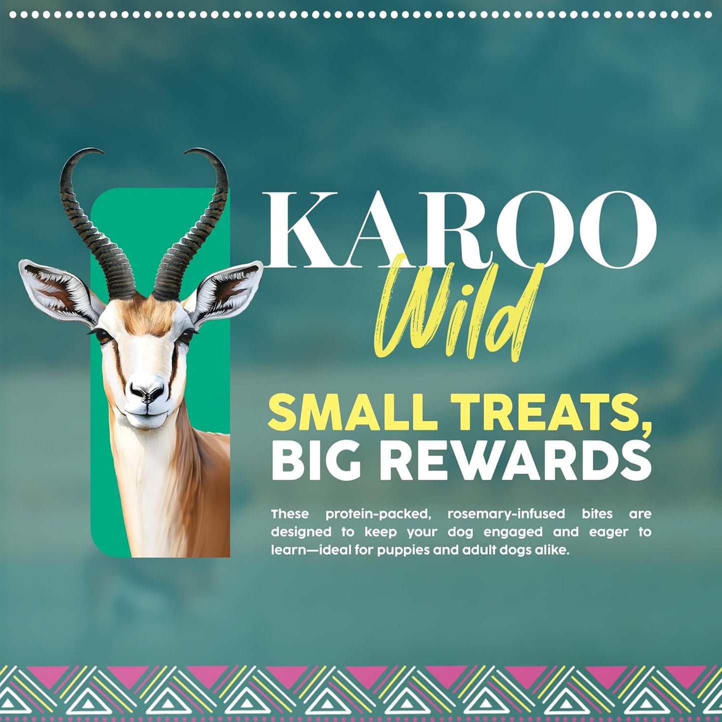 Karoo Wild Training Bits Rosemary Seasoned Treats for Dogs – 4 oz