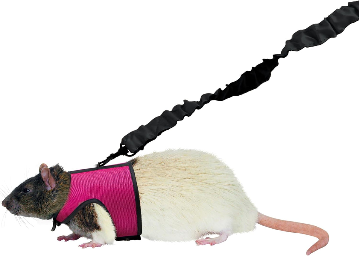 Kaytee Comfort Harness with Safety Leash(Small)