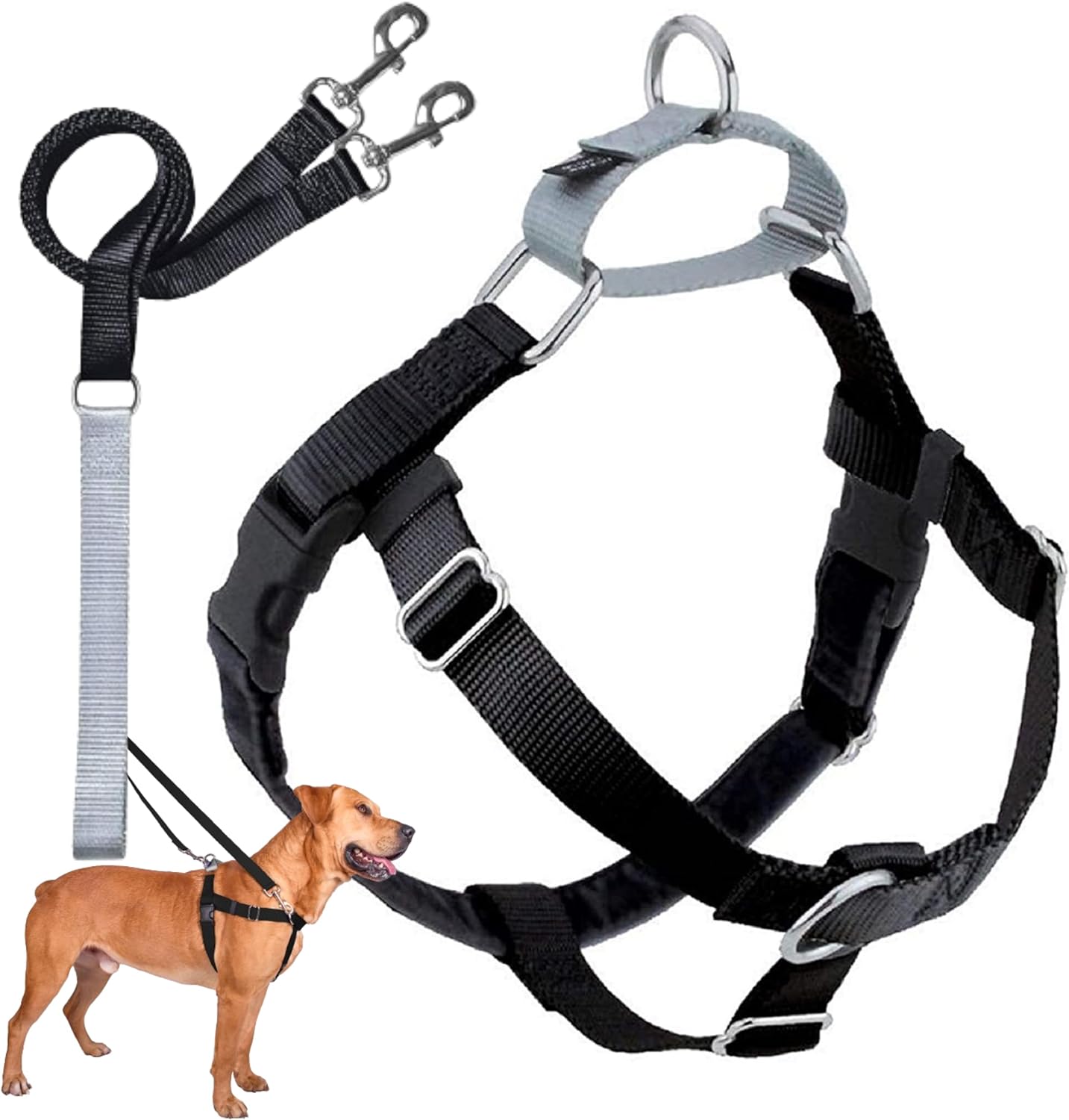 2 Hounds Design Freedom No-Pull Dog Harness Training Package with Leash, X-Small, 5/8-Inch Wide, Black