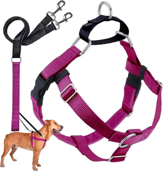 2 Hounds Design Freedom No Pull Harness and Leash Training Kit Raspberry Large