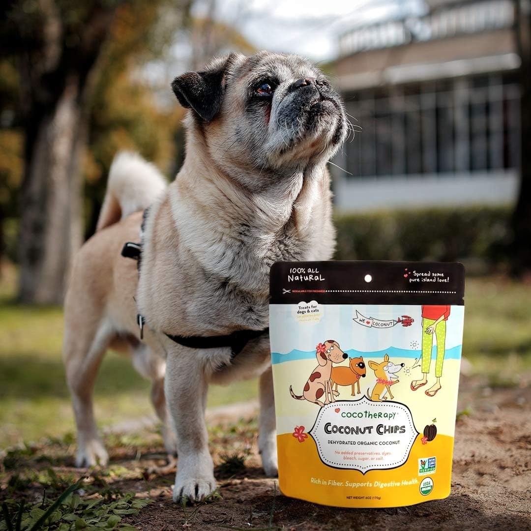 CocoTherapy CTT-0002-6 Coconut Chips (1 Pouch), 6 oz