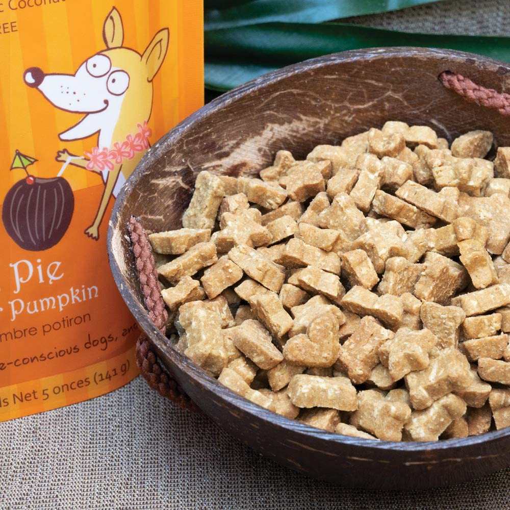 CocoTherapy Coco-Charms Training Dog Treats-Pumpkin Pie 5oz