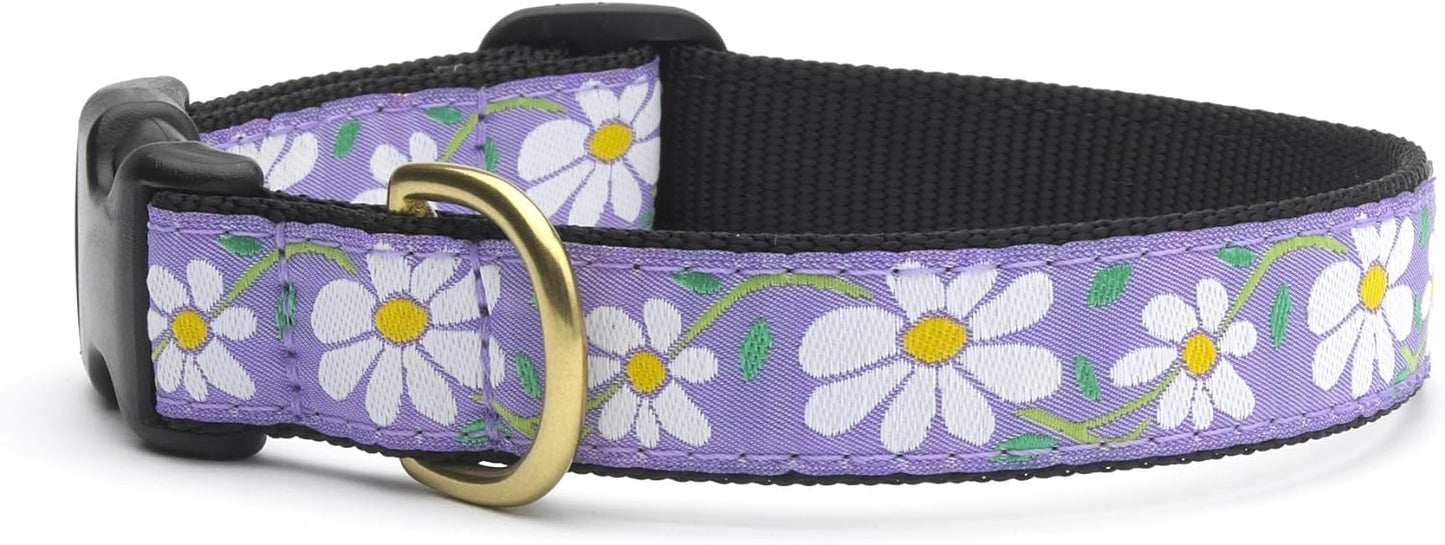 Up Country Daisy Collar - Large