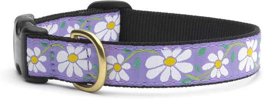 Up Country Daisy Pattern (Daisy Dog Collar, Medium (12 to 18 inches) 1 inch Wide Width)