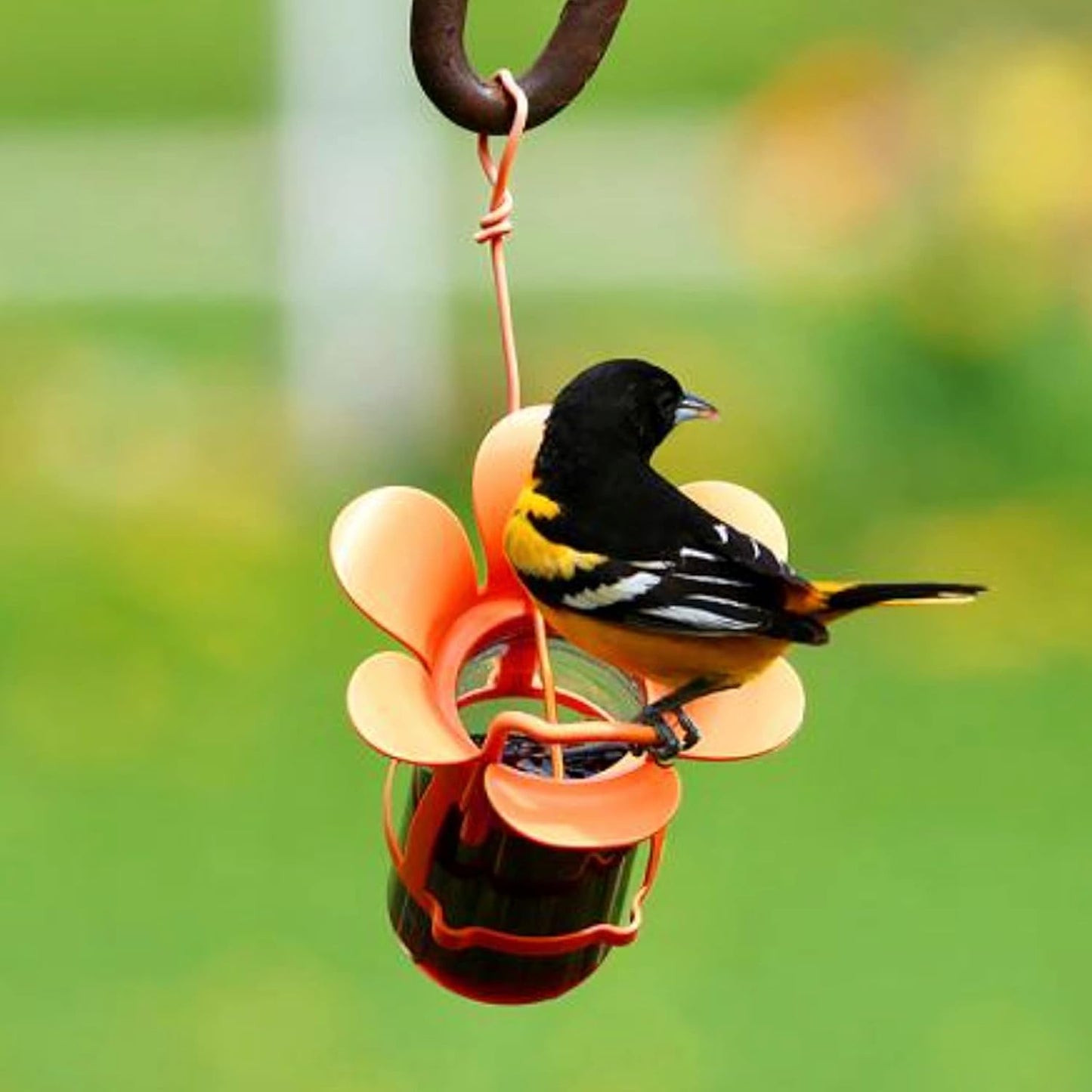 Songbird Essentials Orange Jelly Jam Fliteline Oriole Feeder - 6.5"