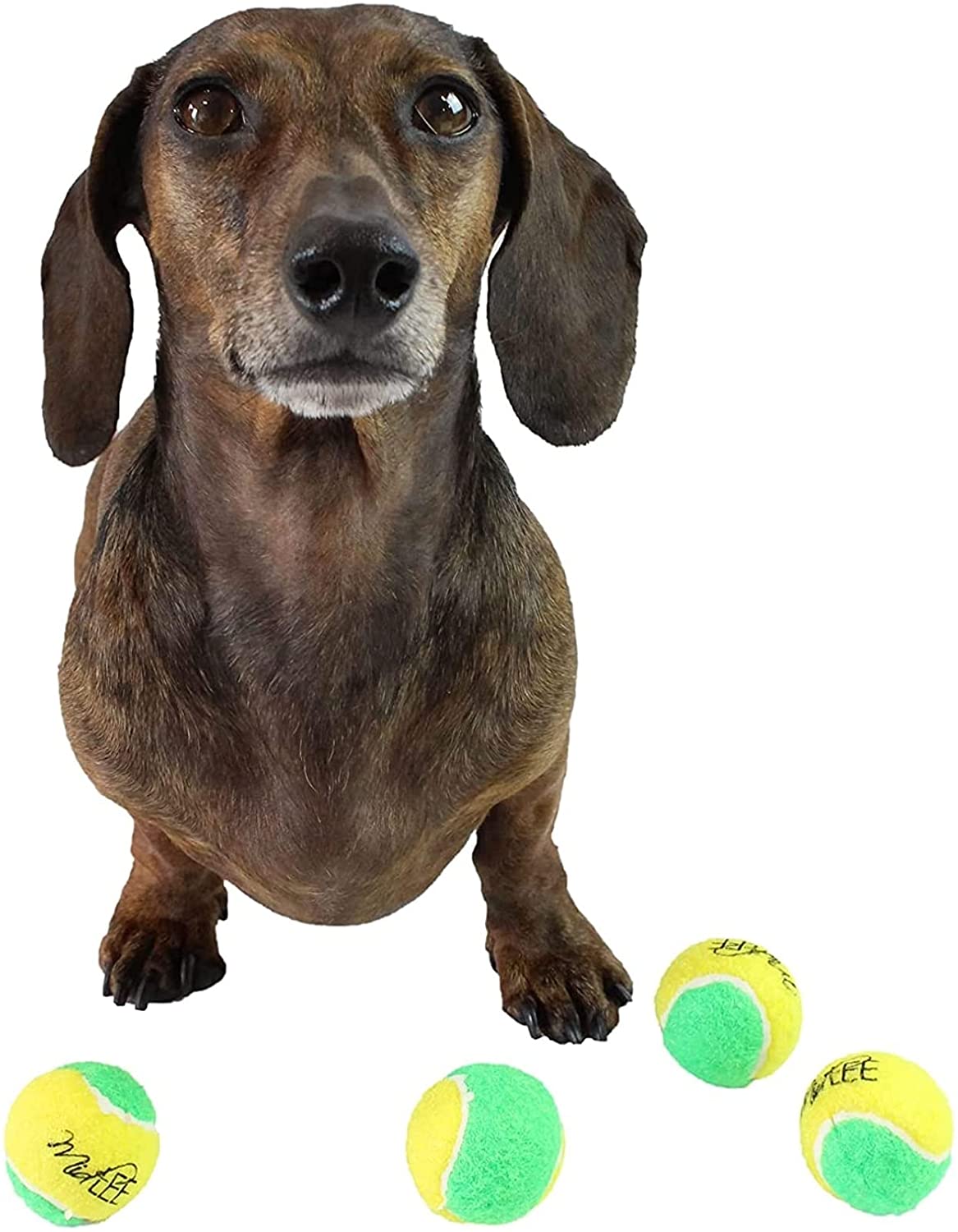 Midlee Small Dog Tennis Balls- Green/Yellow- Set of 12