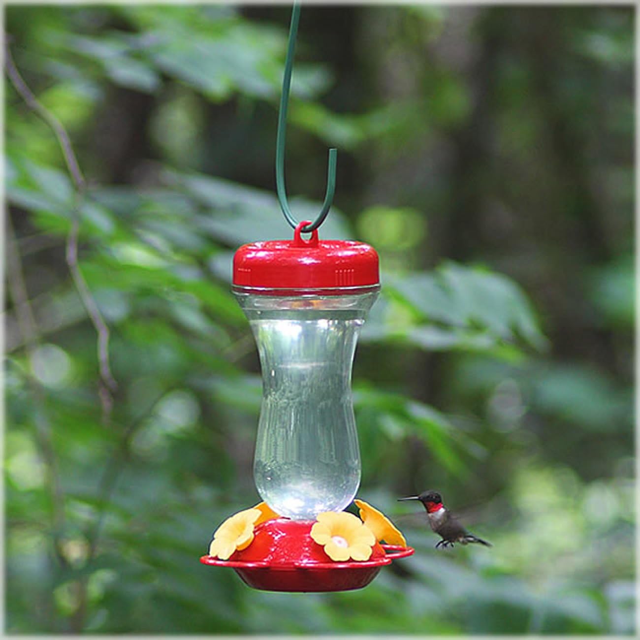 Perky-Pet Top Fill Glass Hummingbird Feeder - Red (16 Ounce)