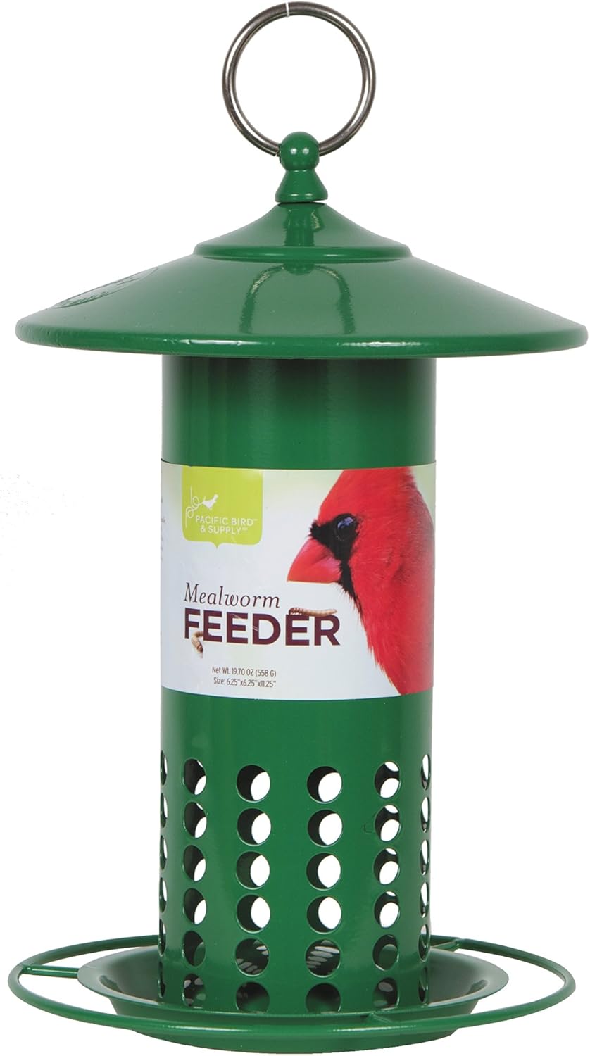 Pacific Bird and Supply Co Pacific Bird Feeder - Mealworm (Green)