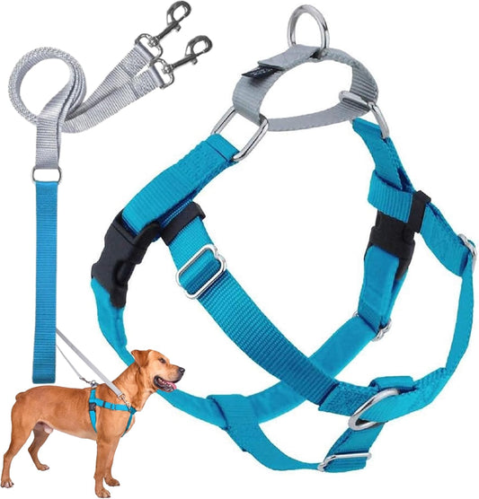 2 Hounds Design Freedom No-Pull Dog Harness with Leash, Medium