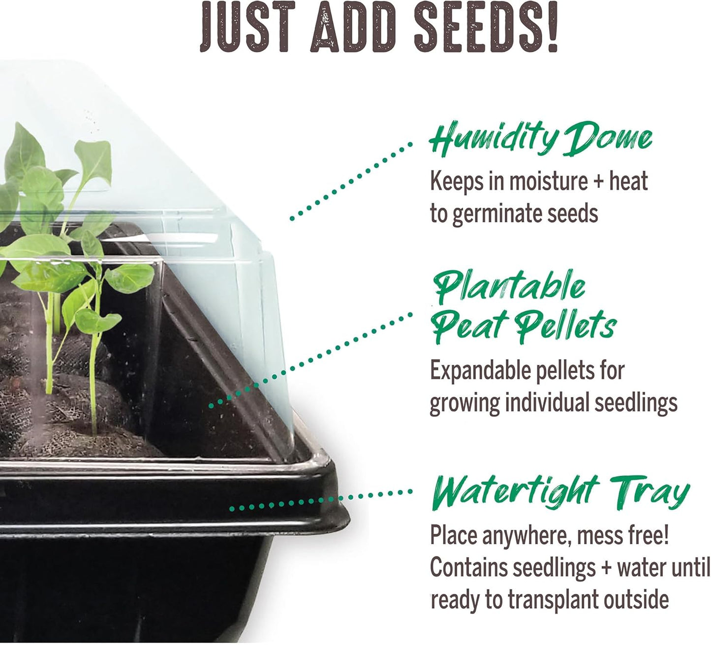 Jiffy Seed Starting Tray Kit, 36 Cell 36mm Peat Pellets with Bonus SUPER thrive
