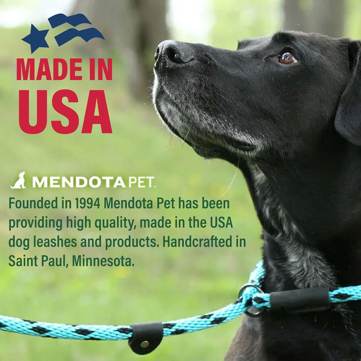 Mendota Pet Slip Leash - Dog Lead and Collar Combo - Made in The USA - Pink Chocolate, 1/2 in x 6ft - for Large Breeds