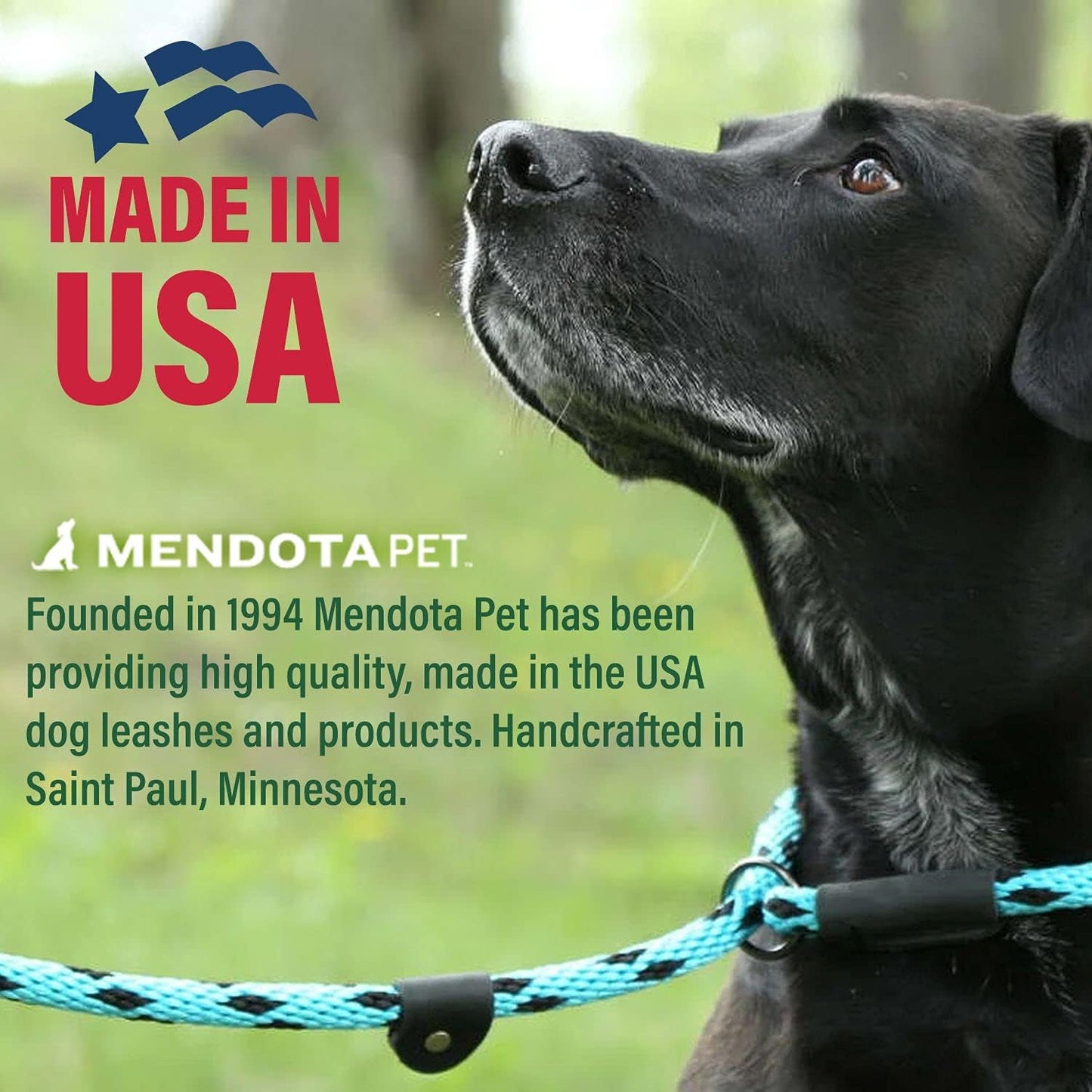 Mendota Pet Slip Leash - Dog Lead and Collar Combo - Made in The USA - Starbright, 1/2 in x 6 ft - for Large Breeds