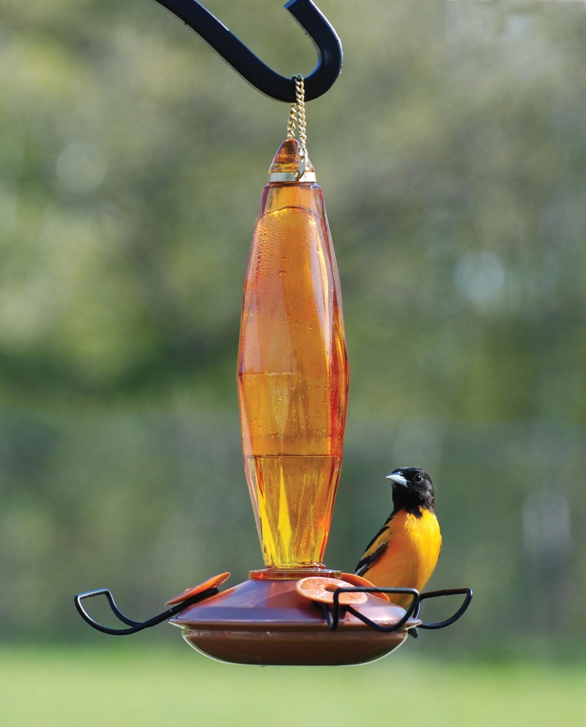 Woodlink Audubon Amber Cut Glass Oriole Feeder - 10 Ounce