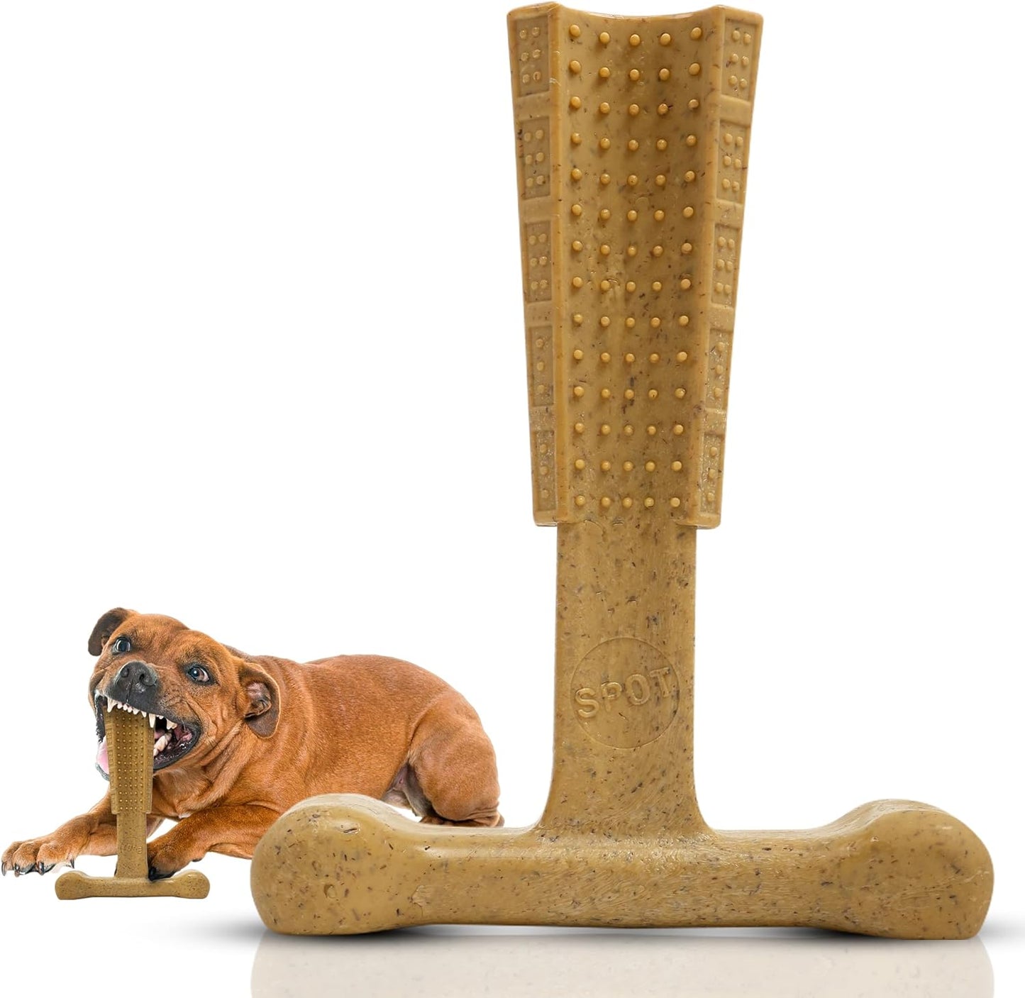 Ethical Pet Products Bambone Plus Bone Chicken Dog Chew Toy - Chicken Flavor (7")