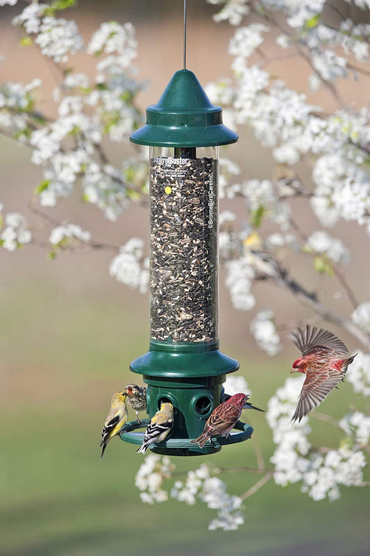 Squirrel Buster Plus Squirrel-proof Bird Feeder w/Cardinal Ring and 6 Feeding Ports, 5.1-pound Seed Capacity