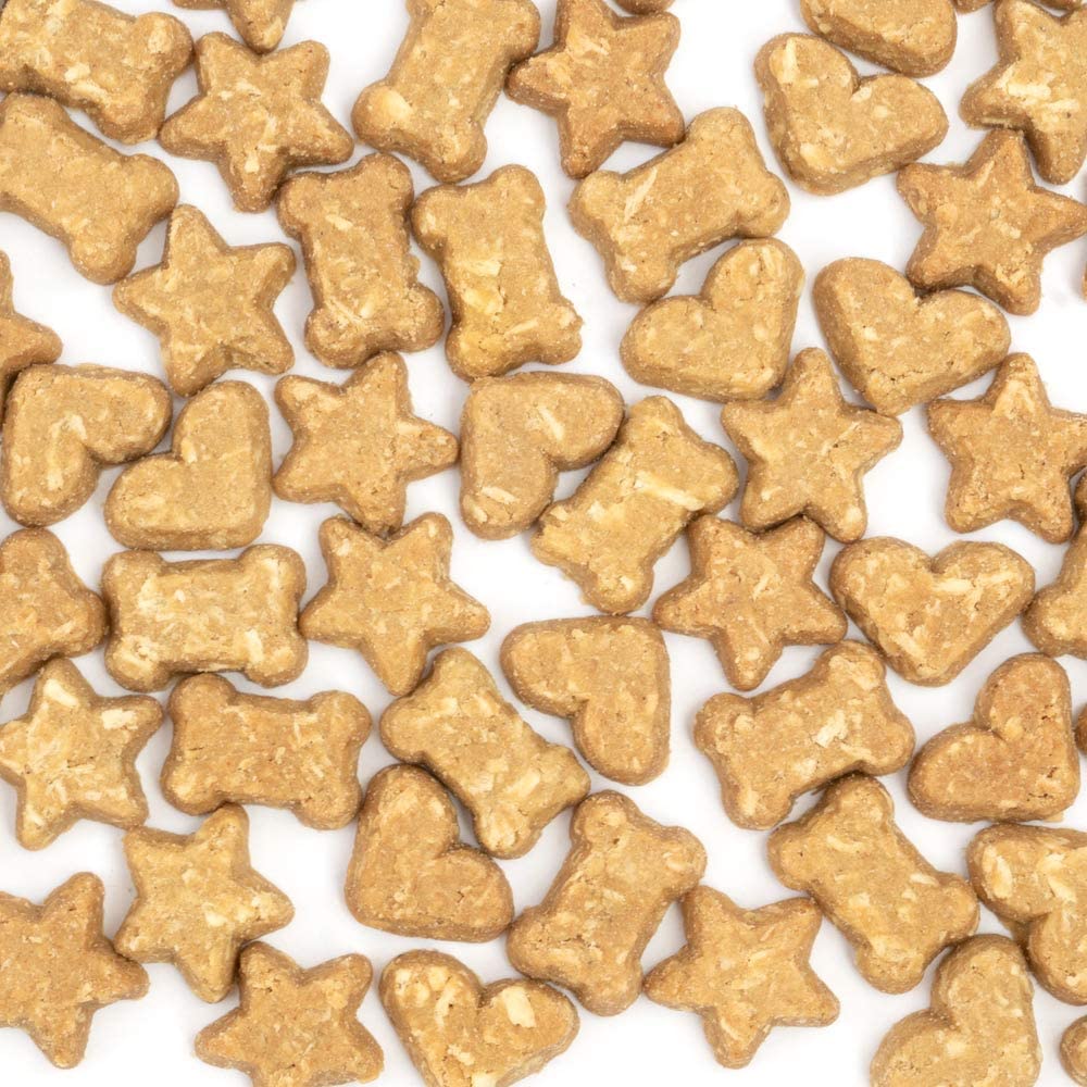 CocoTherapy Coco-Charms Training Dog Treats-Pumpkin Pie 5oz