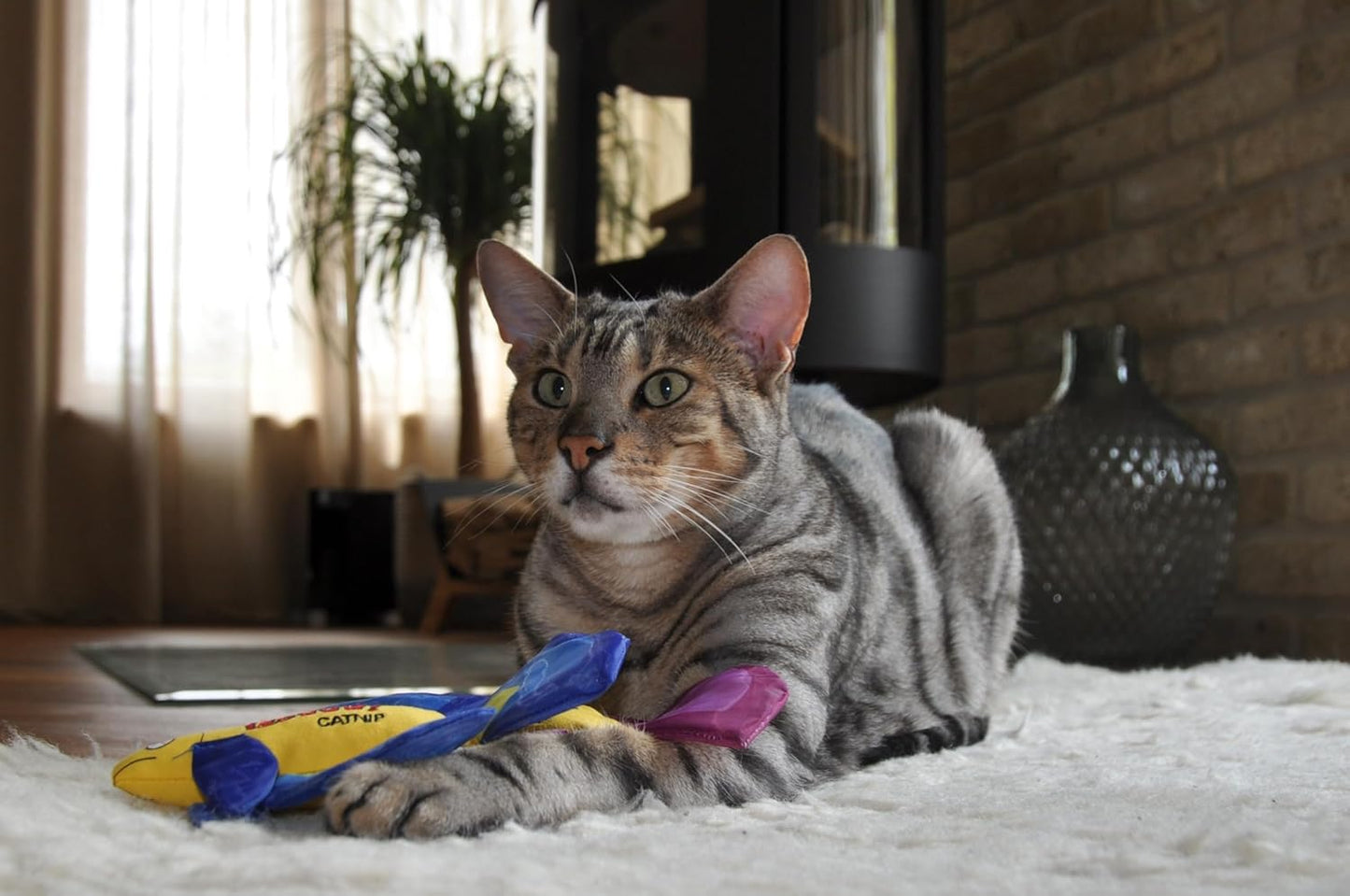 Yeowww! Mo Betta Fish Catnip Filled Cat Toy - Blue