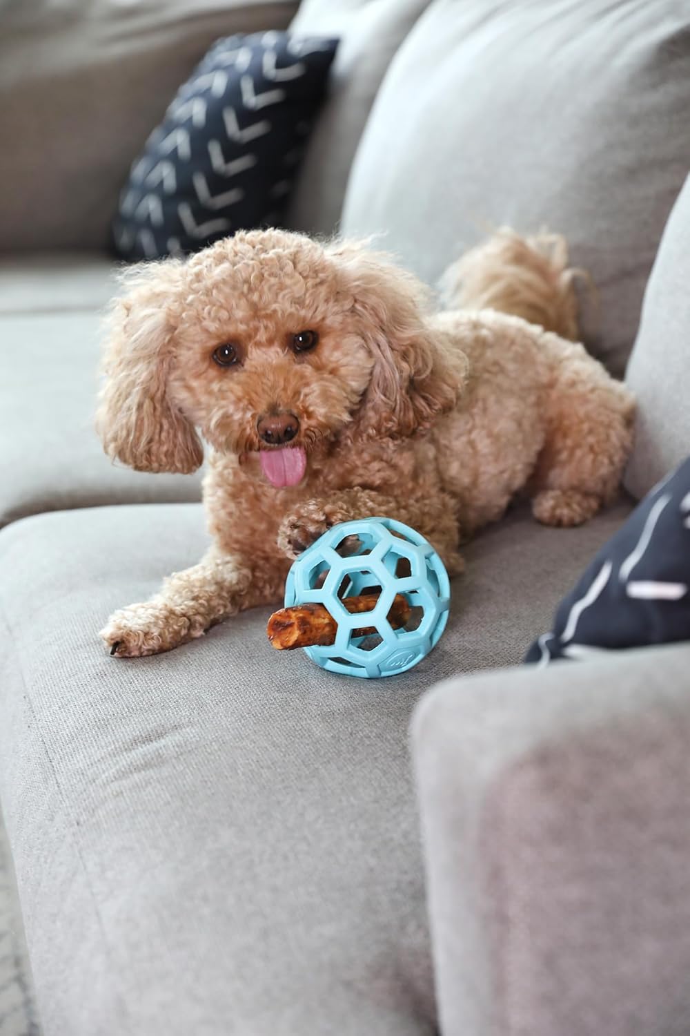 JW Pet Hol-ee Roller Rubber Dog Toy - Medium(4.5" Diameter) Blue