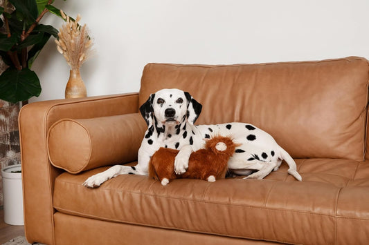 Midlee Standing Highland Cow Dog Toy