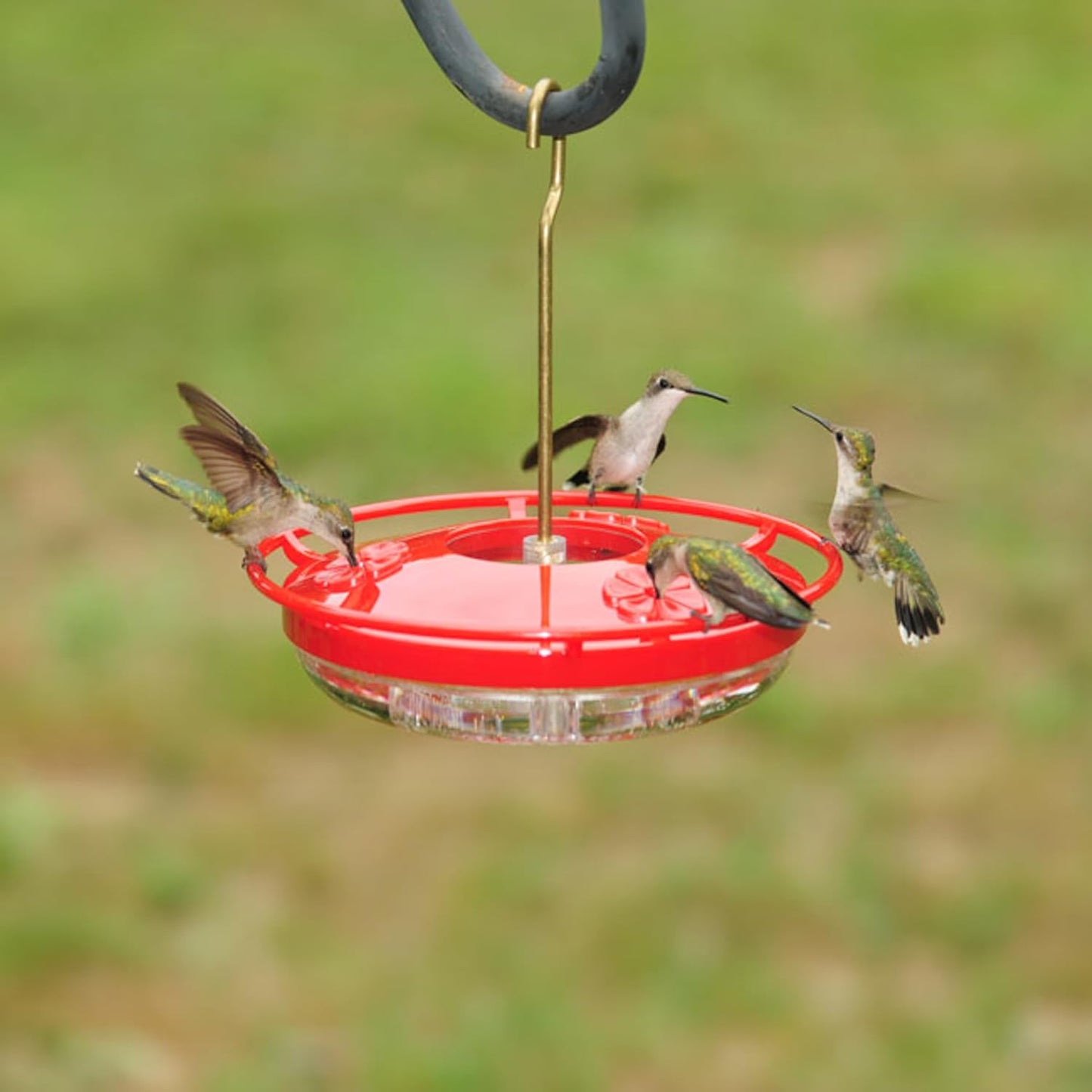 Hummzinger Highview Mini Hummingbird Feeder- 2 Pack