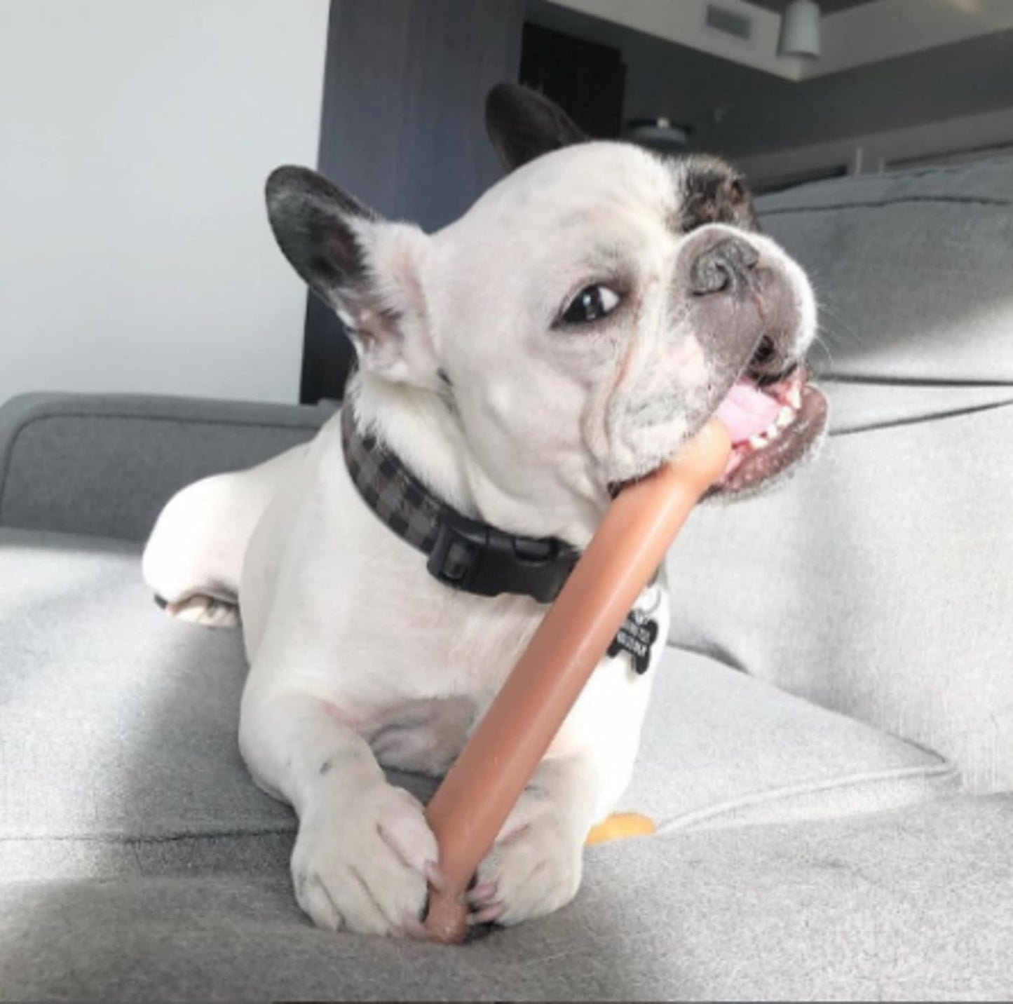 Nylabone DuraChew Bacon Flavor Bone Giant Dog Chew Toy