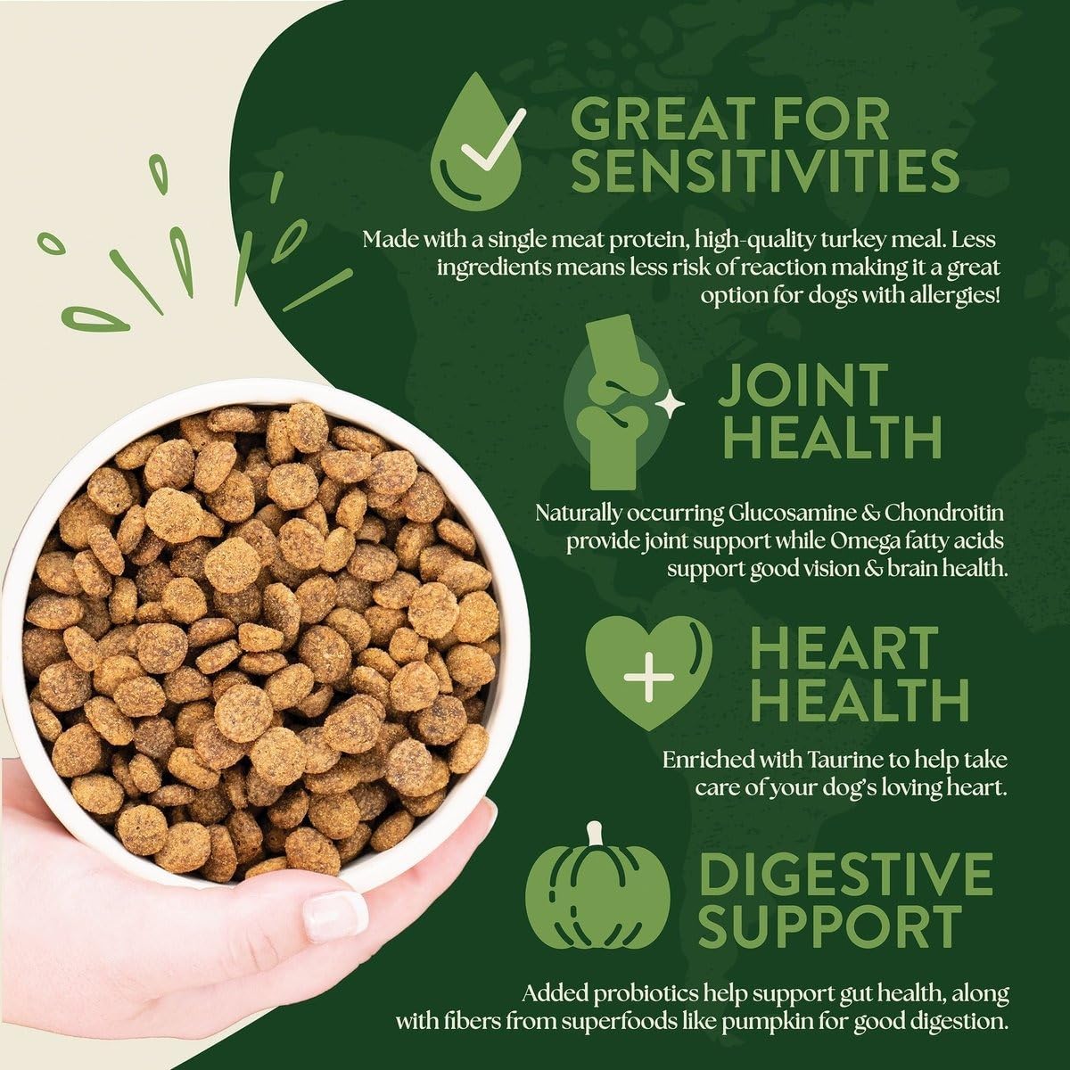 Earthborn Holistic Venture Smoked Turkey & Butternut Squash Dog Food - 25 lbs