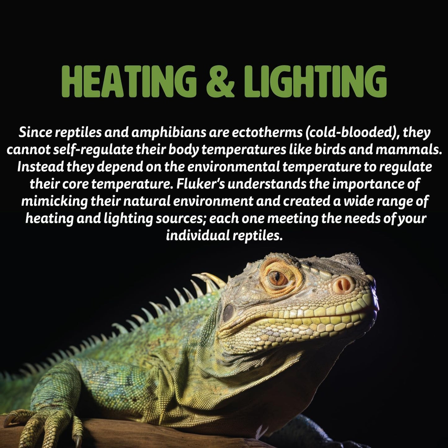 Flukers Premium Heat Mat for Reptiles and Amphibians- Small