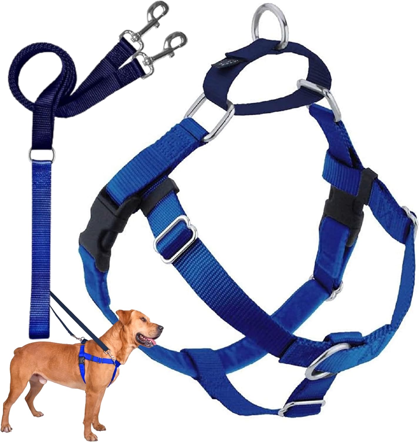 2 Hounds No-Pull Freedom Harness and Leash for Dog Walking, Royal Blue, 1" XXLarge