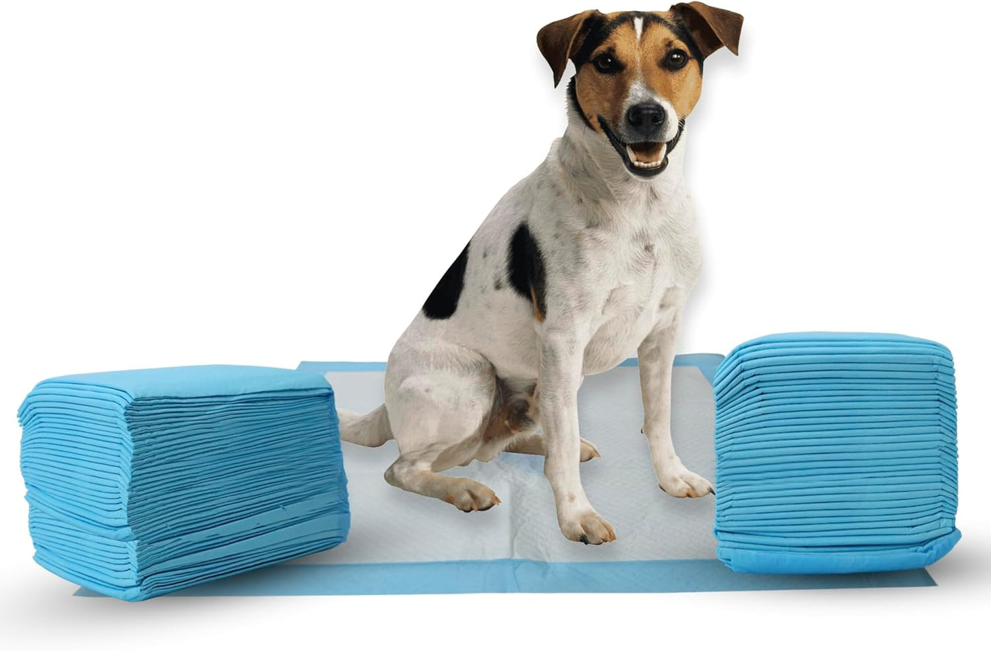 SPOT X Marks The Super Absorbent Pee Pads - 100 Pack (22" x 22")