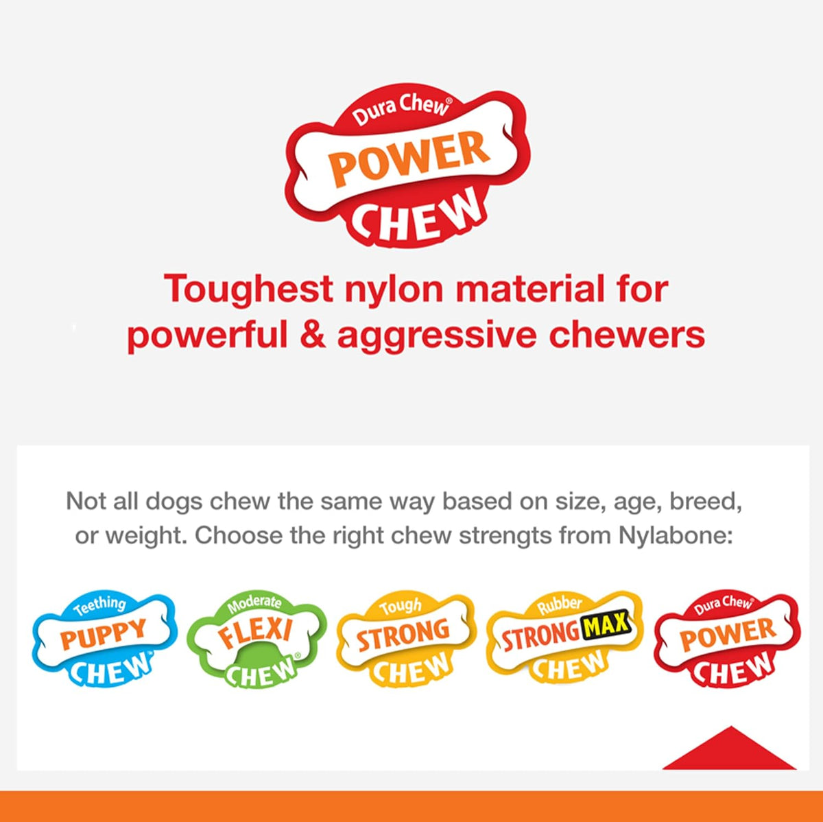 Nylabone Dura Chew Power Chew Bone Flavor Medley Flavor