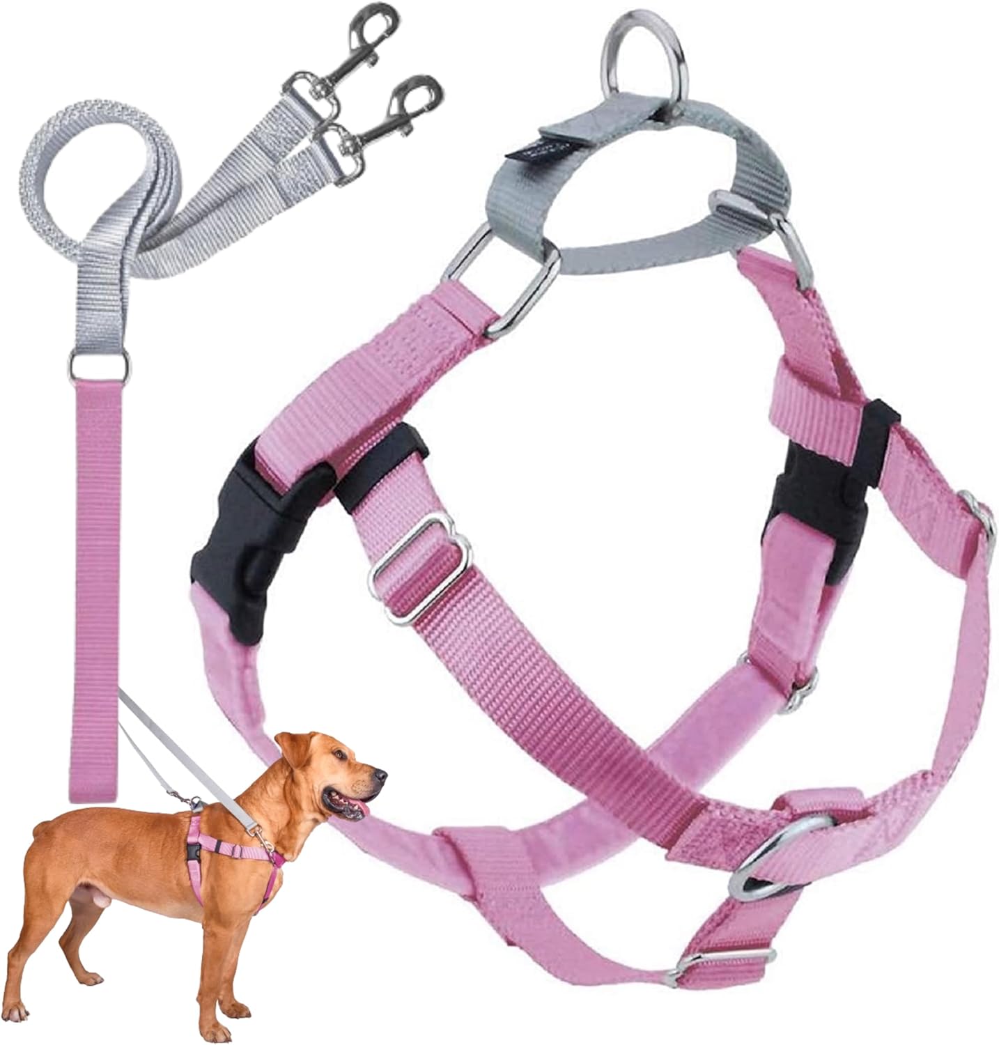 2 Hounds Design Freedom No Pull Dog Harness Large Rose
