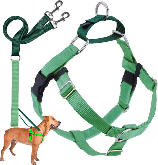 2 Hounds Design Freedom No Pull Dog Harness | Comfortable Control for Easy Walking |Adjustable Dog Harness and Leash Set | Small, Medium & Large Dogs | Made in USA | Solid Colors | 1" LG Neon Green