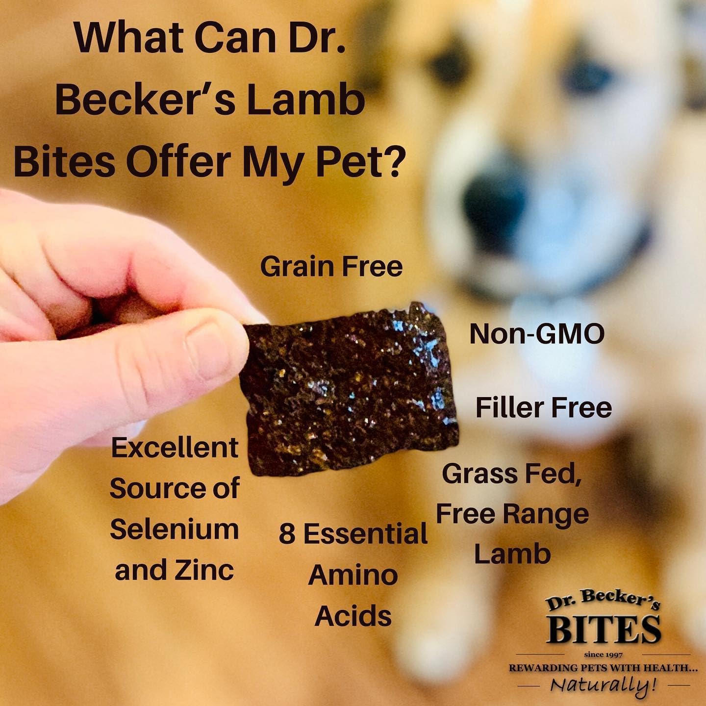 Dr. Becker's Lamb Bites | 100% Pure Meat Protein | Grain Free Liver Training Treats for Dogs & Cats, 5 oz