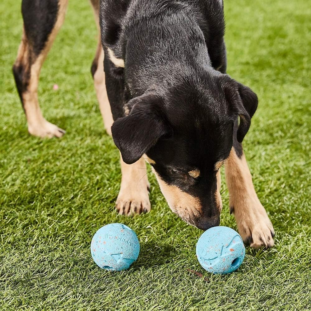 Chuckit Fetch Medley Balls Medium Ball - 2.25" Diameter (3 Pack)