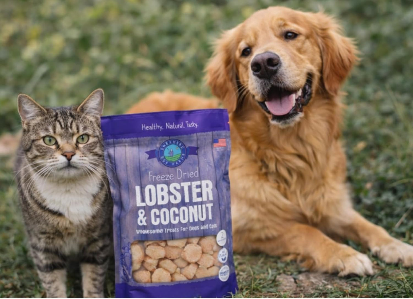 Shepherd Boy Farms Freeze Dried Lobster & Coconut Treats for Dogs & Cats, 2 oz