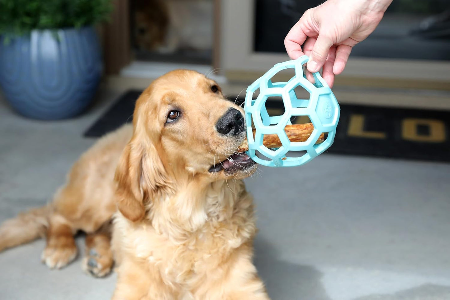 JW Pet Hol-ee Roller Rubber Dog Toy - Large(5.5" Diameter) Blue