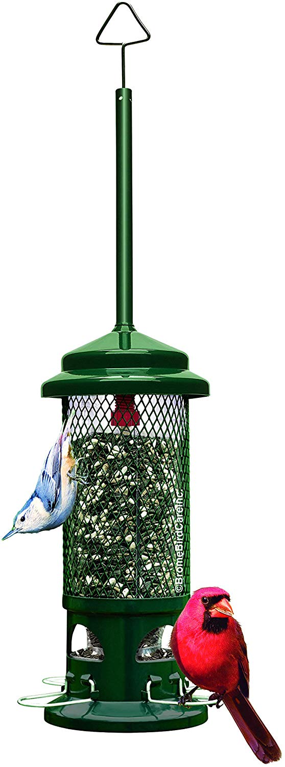 Squirrel Buster Standard Squirrel-proof Bird Feeder w/4 Metal Perches, 1.3-pound Seed Capacity